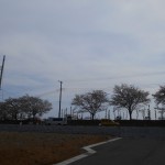 DSCN0333